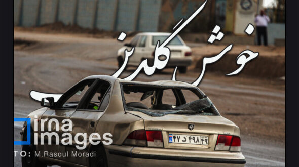 خوش گلدین